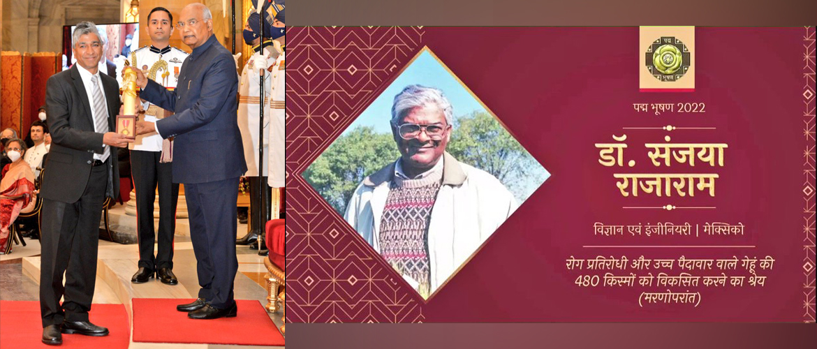 <div style="fcolor: #fff; font-weight: 600; font-size: 1.5em;">
<p style="font-size: 13.8px;">Our heartiest congratulations to the family of late Dr.Sanjaya Rajaram,who has been conferred with Padma Bhushan by the Hon'ble President of India, H.E.Ram Nath Kovind in the field of Science & Engineering, for developing 490+ high-yielding & disease-resistant wheat varieties. <br><span style="text-align: center;"> 28 March 2022</span> </p>

</div>